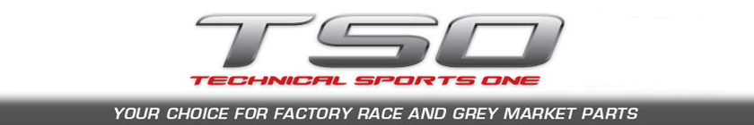 Technical Sports One LLC Logo