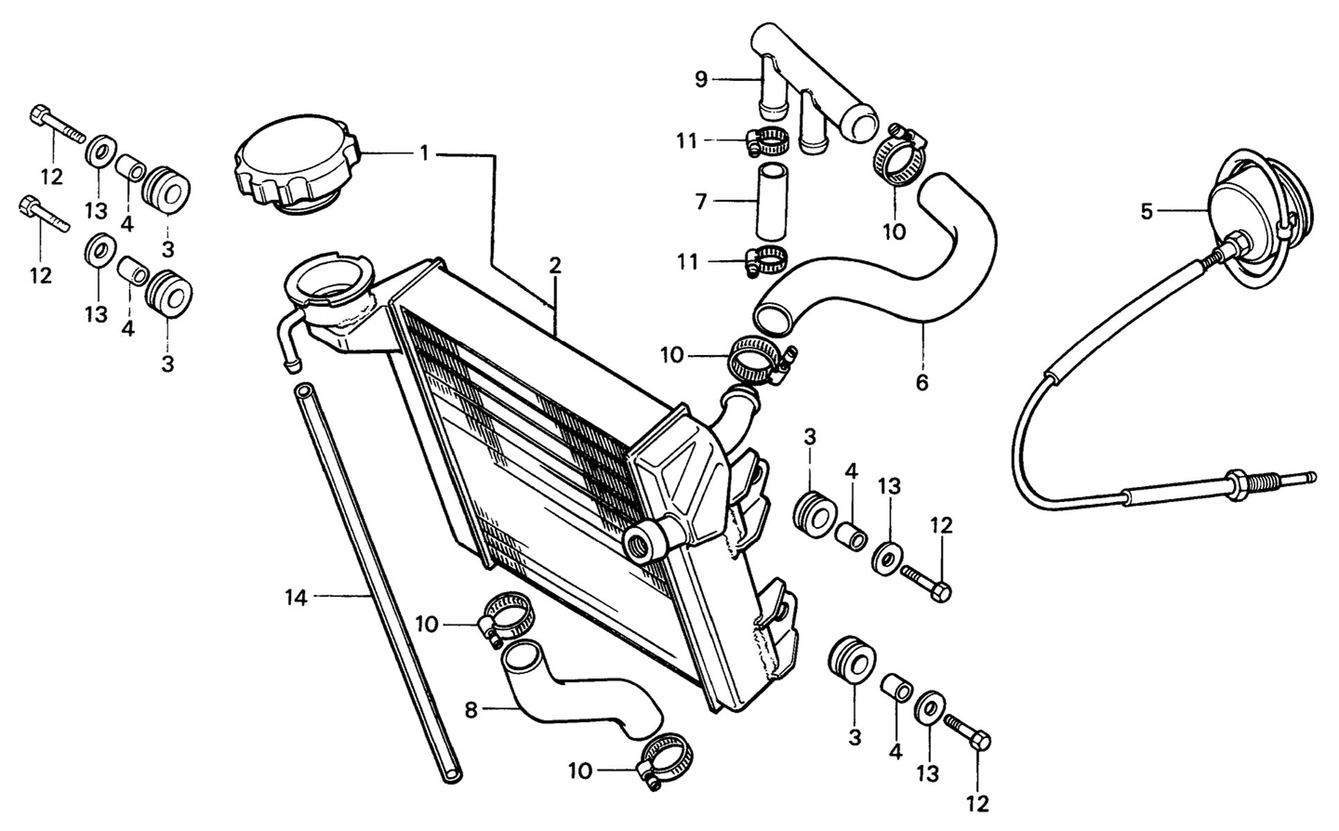 1984 Honda RS125R - F11 Radiator / Radiator Hose Image