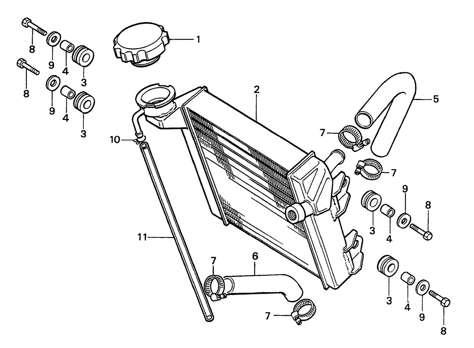 1985 Honda RS125R - F11 Radiator / Radiator Hose Image