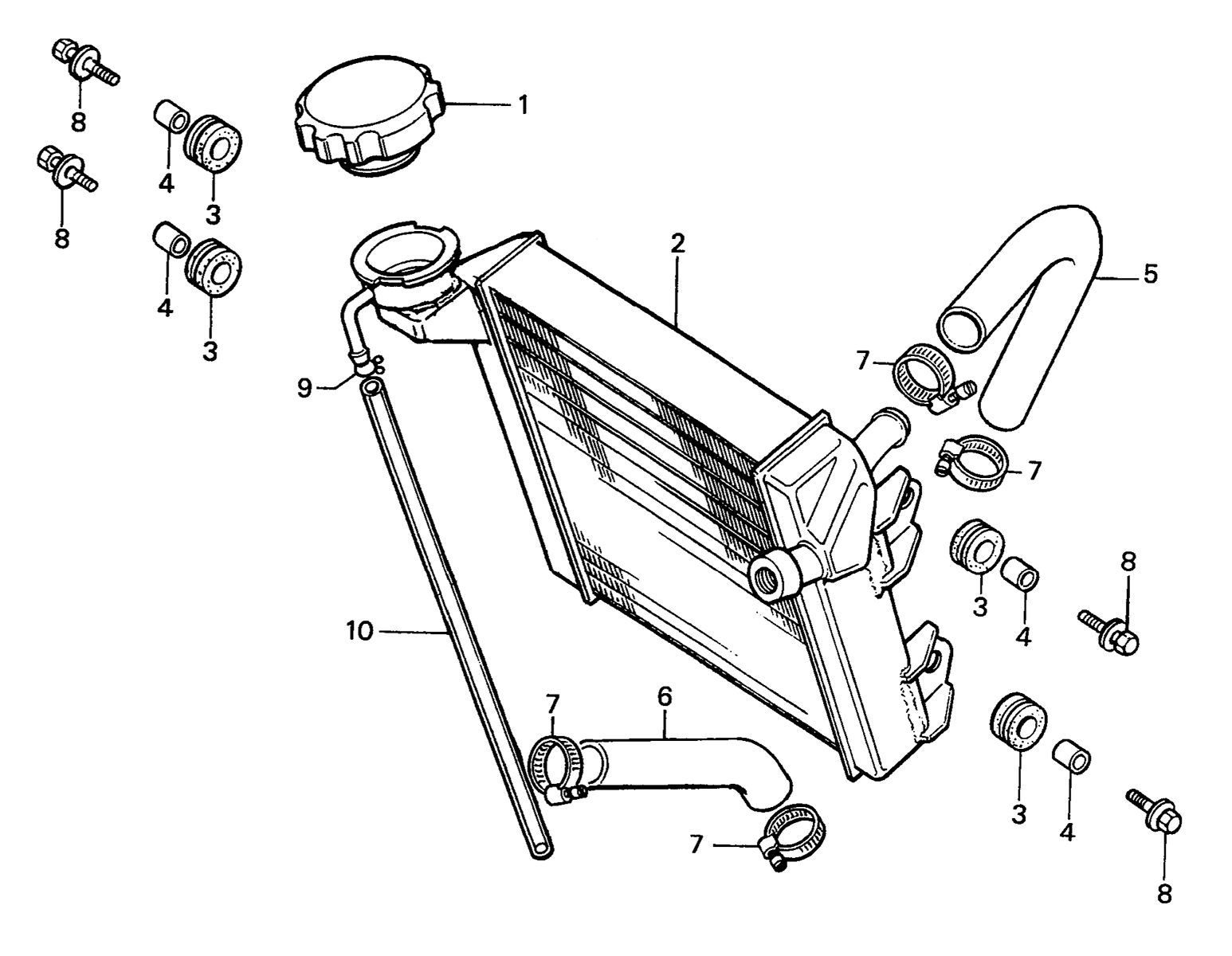 1986 Honda RS125R - F11 Radiator / Radiator Hose Image