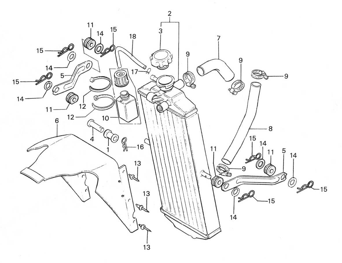 1988 Honda RS125R - F13 Radiator Image