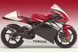 Technical Sports One, LLC Yamaha TZ250 Image