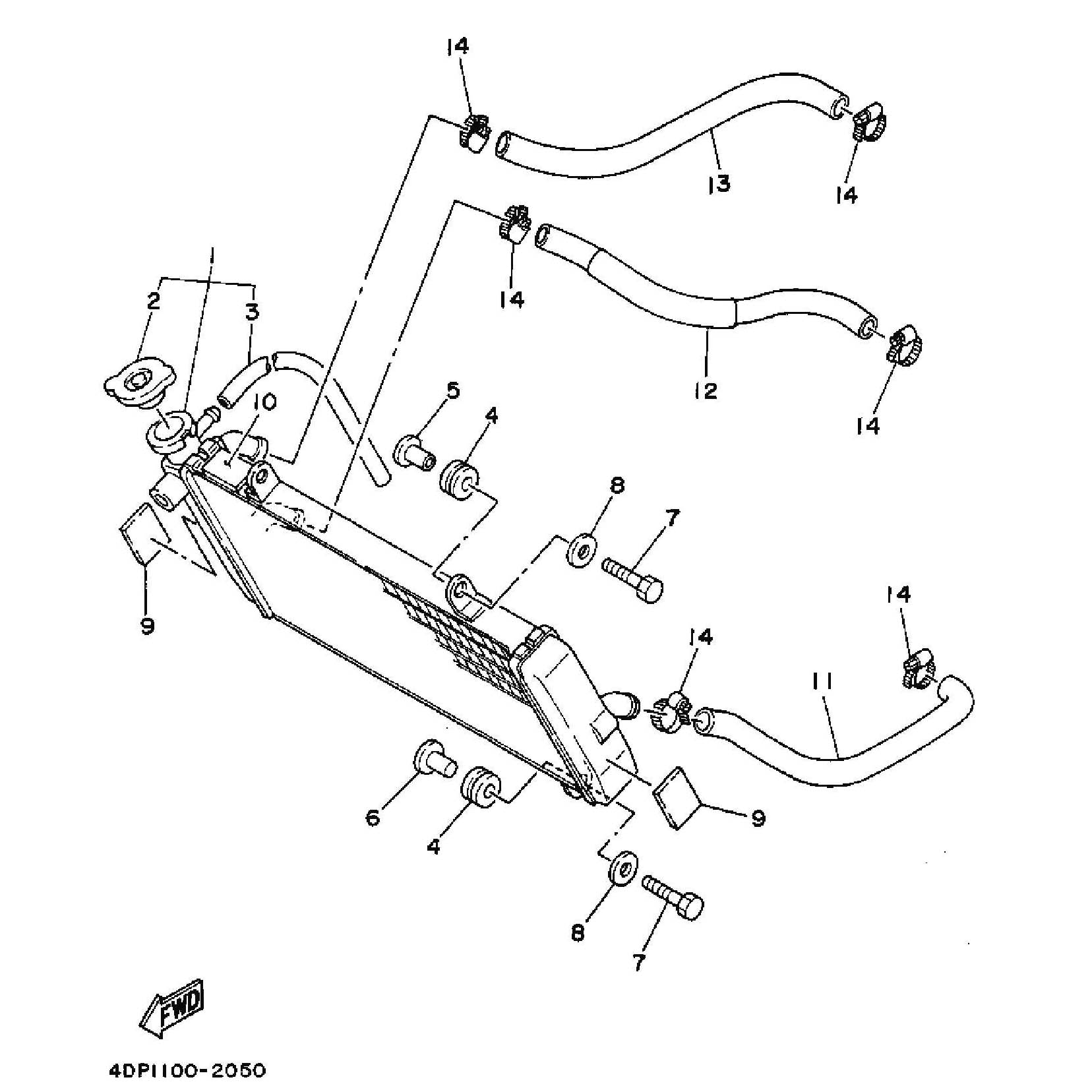 Technical Sports One, LLC 1992 Yamaha TZ250 (4DP1) the Radiator / Radiator Hose