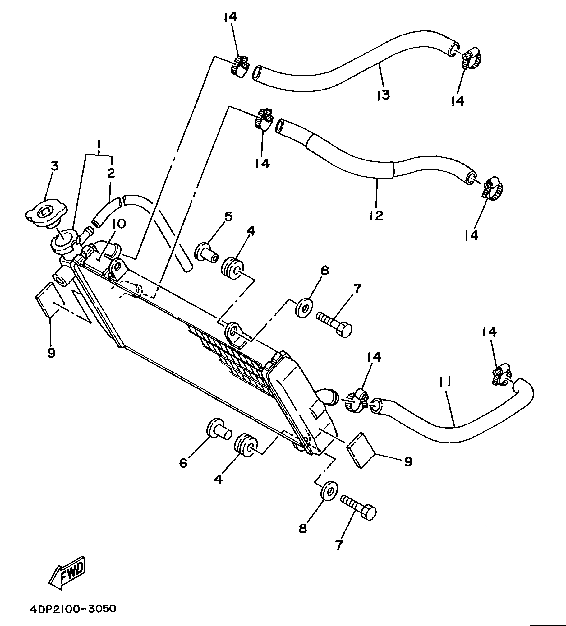 Technical Sports One, LLC 1993 Yamaha TZ250 (4DP2) the Radiator / Radiator Hose