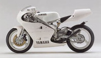 Technical Sports One, LLC 1994 Yamaha TZ250 (4DP3) Image